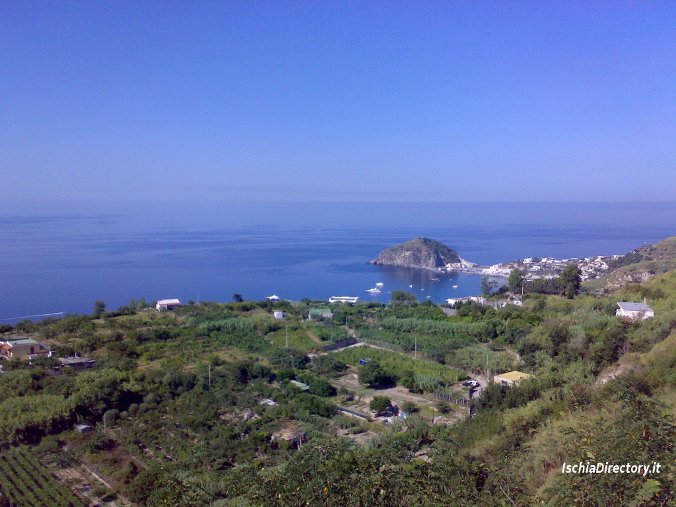 Bel vedere di Barano, panorama sul'isolotto di Sant'Angelo (foto vacanze ad ischia)